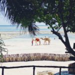 Diani Beach, Kenya: The Africa They Don’t Show On T.V.